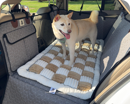Car Seat Cover