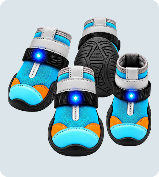 Night Walk Paw Shoes