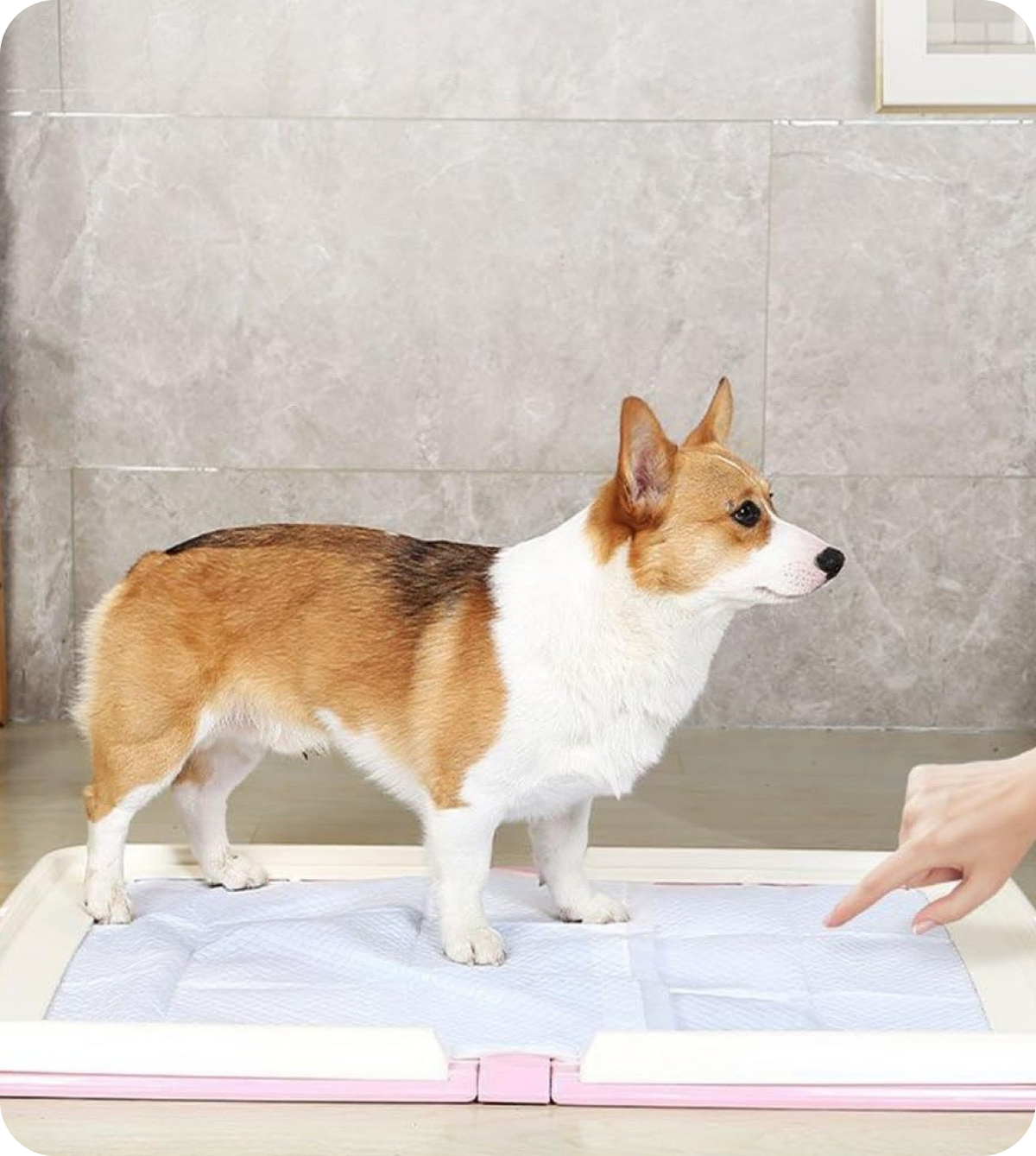 Indoor Toilet Tray