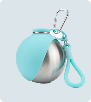 Leak-Proof Travel Bottle