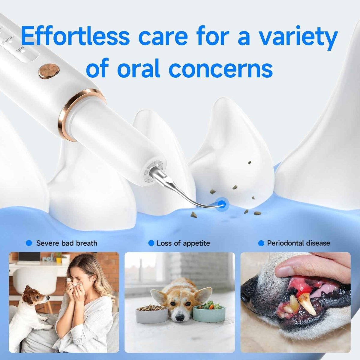 Ultrasonic Pet Dental Plaque Remover