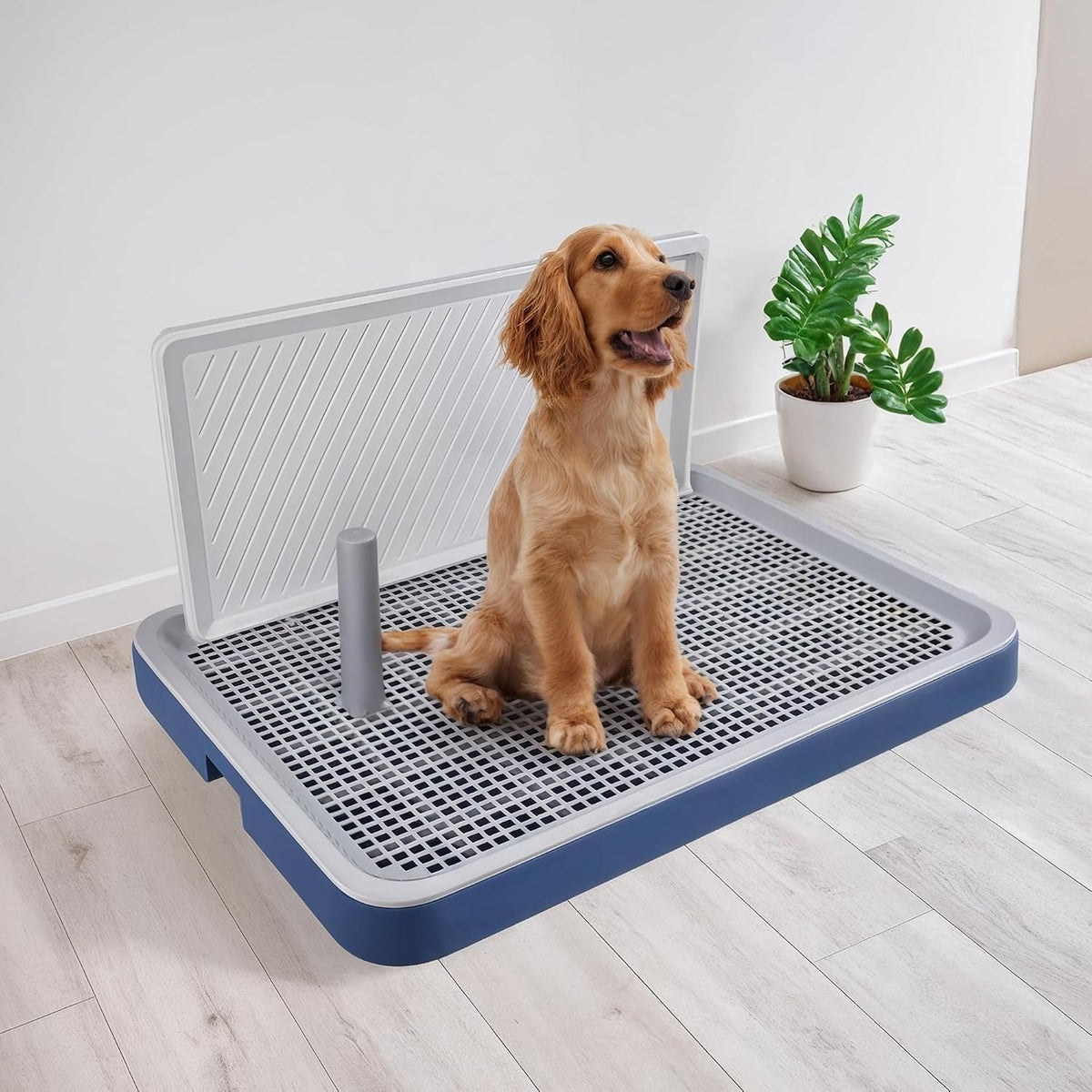 Large Dog Potty Training Tray with High Splash Wall