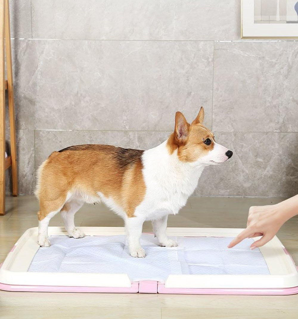 Foldable L-Shape Dog Toilet Tray with Splash-Proof Wall