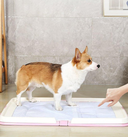 Foldable L-Shape Dog Toilet Tray with Splash-Proof Wall
