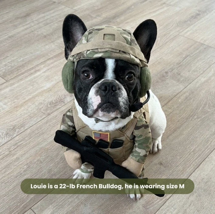 Doggy Soldier Outfit