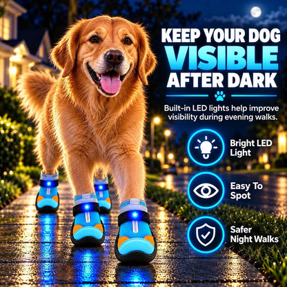 LED Light-Up Dog Boots