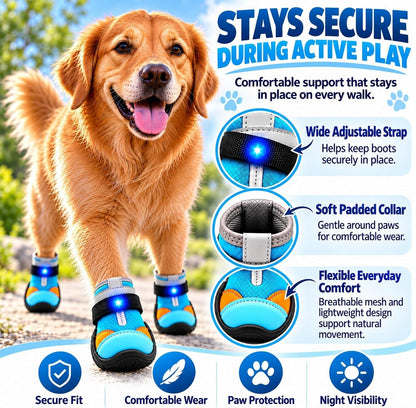 LED Light-Up Dog Boots