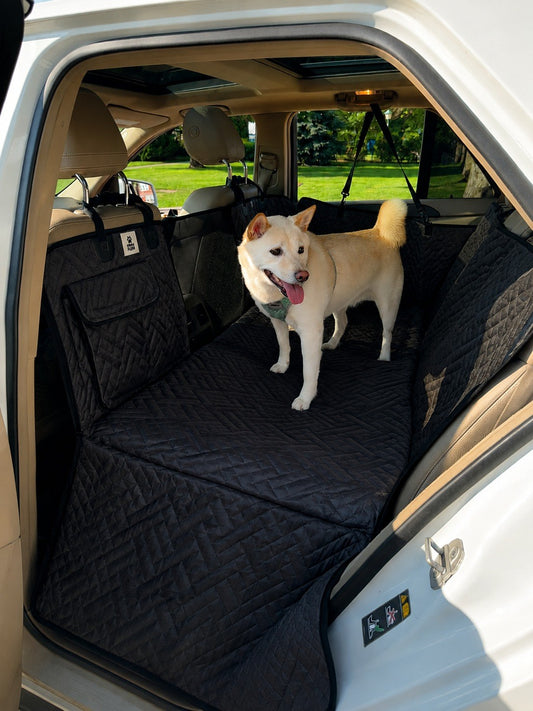 Hard Bottom Dog Car Back Seat Cover