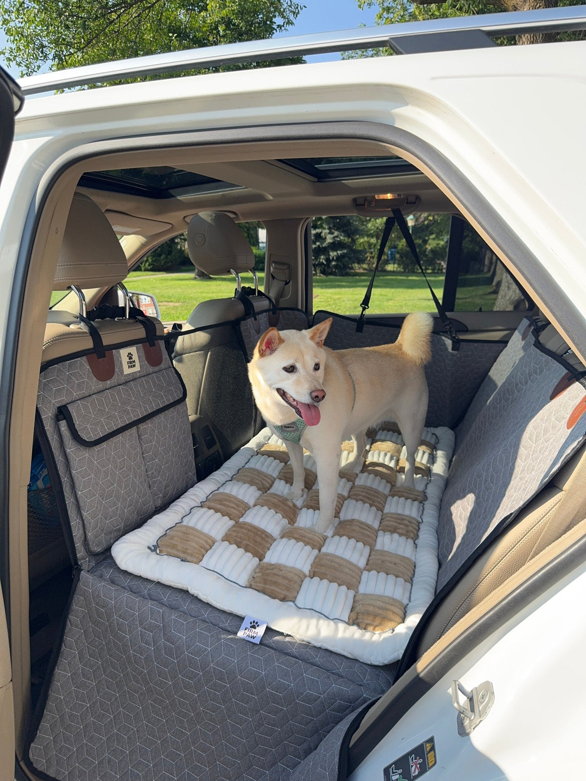 Hard Bottom Dog Car Back Seat Cover