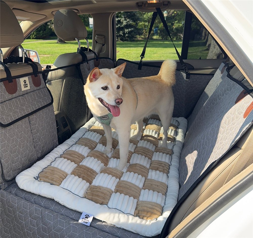 Dog Travel