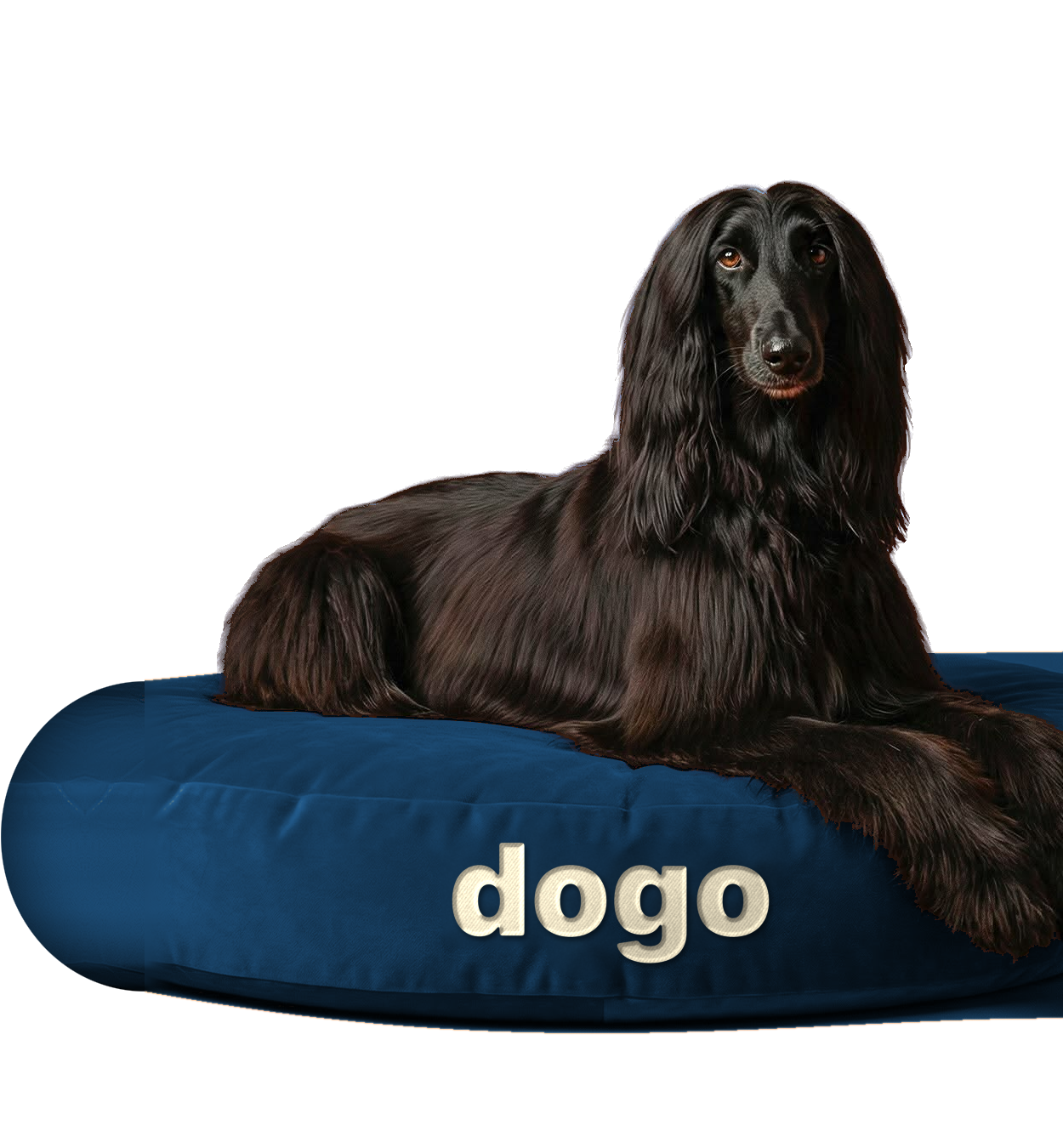 Made for the dog you love